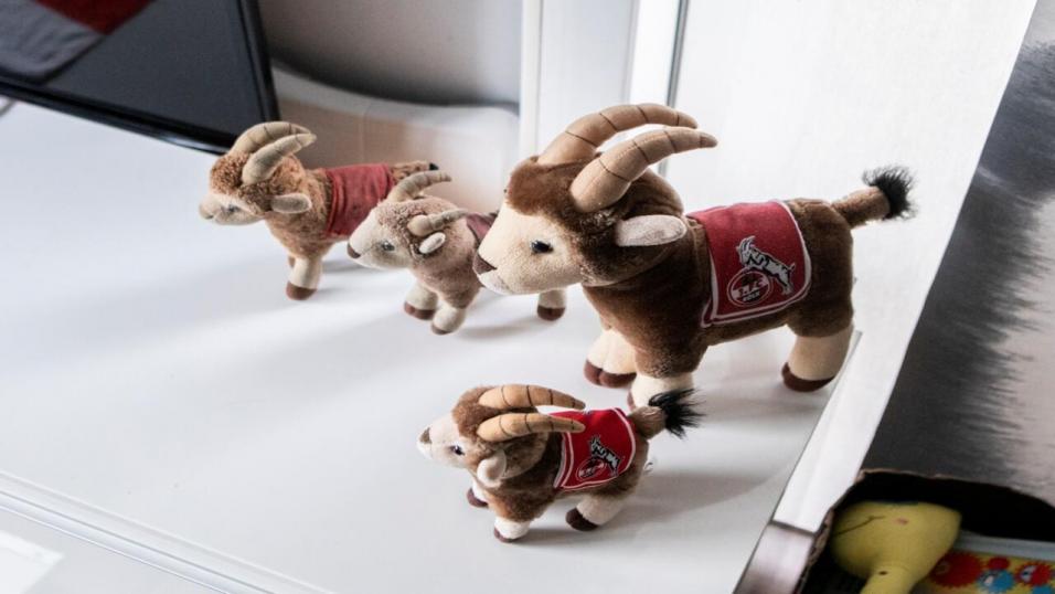 A stuffed version of Koln mascot Hennes